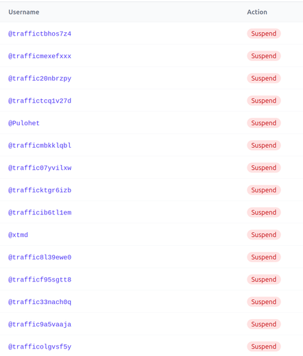 13+ accounts suspended that start with "traffic"
